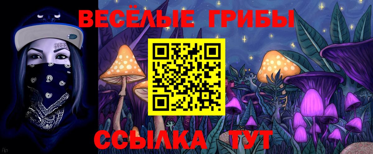Псилоцибиновые грибы GOLDEN TEACHER  Вход с VPN  Кингисепп  Псилоцибиновые грибы мухоморы 